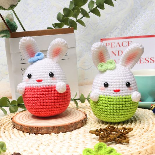 Faircosy Crochet Kit for Beginners: Amigurumi Crocheting Rabbit Kits, Starter Kit for Adults and Kids (10Age+) with Detailed Instructions and Tutorial