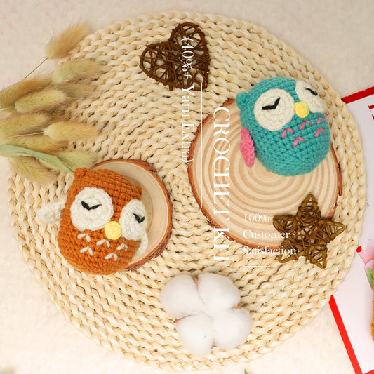 2PCS Beginner Crochet Kit: Amigurumi Crocheting Owls Kits, Starter Kit for Adults and Kids (10Age+) with Detailed Instructions and Tutorial, Suprise Gift for Lover, Family