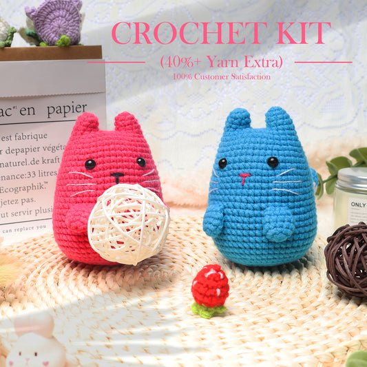 Faircosy Crochet Kit for Beginners: Amigurumi Crocheting Cat Kits, Starter Kit for Adults and Kids (10Age+) with Detailed Instructions and Tutorial